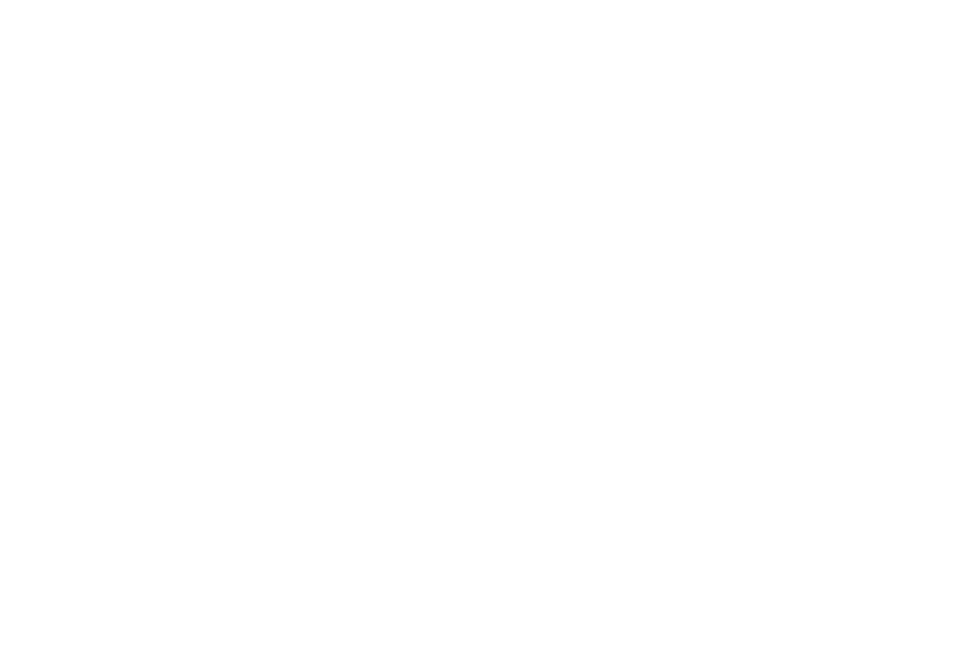 LOGOTIPO - PNG SEM FUNDO (BRANCO)